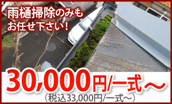 雨樋掃除33000円/一式～