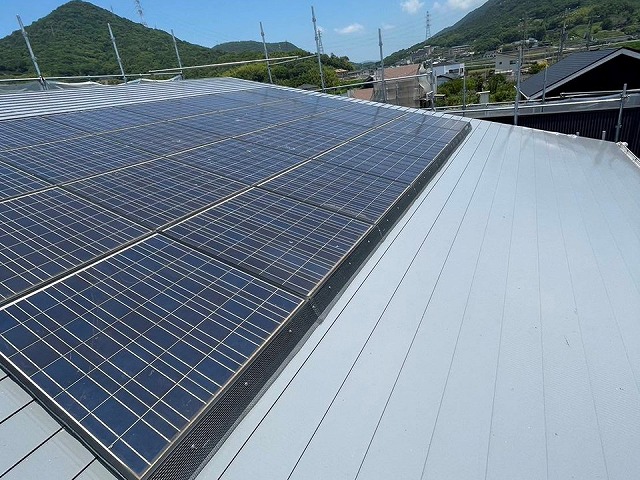 屋根の鳥害対策と金属屋根塗装の完成後状況