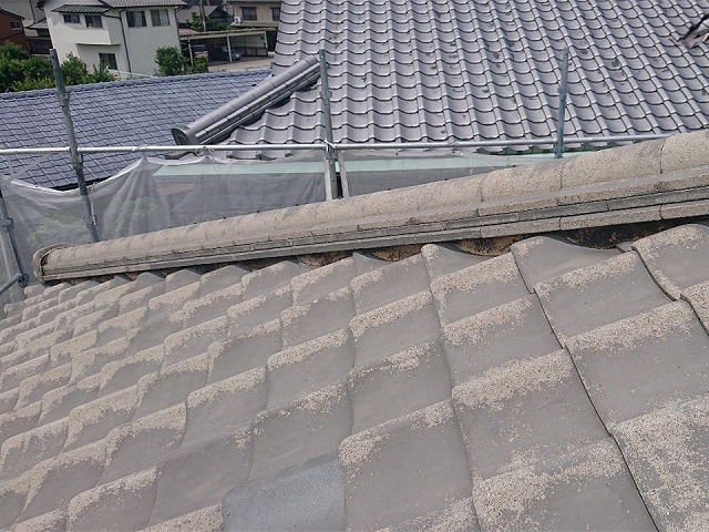 漆喰詰め直しを行う隅棟の施行前状況