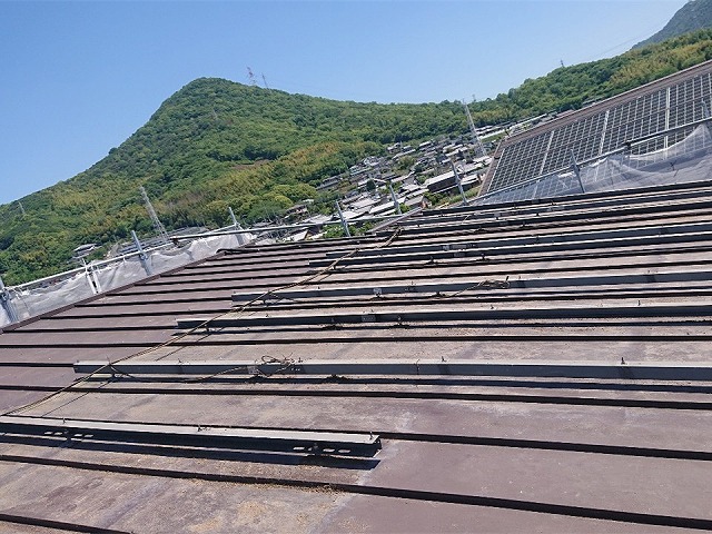 鳥の巣対策および屋根塗装の既存太陽光パネル取り外し工程