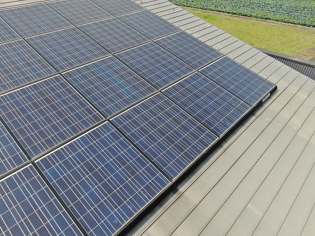 坂出市で糞や鳴き声に悩まされていた住宅の鳥害対策、既設太陽光パネルの取り外し