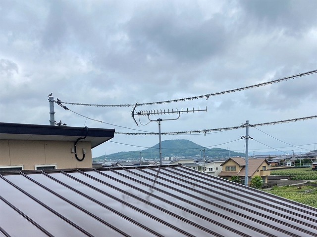 坂出市の鳥害を受けた金属屋根への塗装工事、「ワイドウォールSi」による高耐久仕上げ