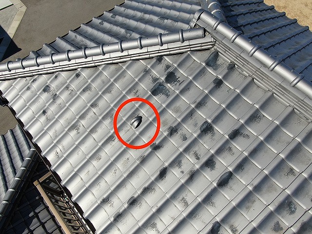 無料点検で屋根の上に転がっている瓦の欠片を確認