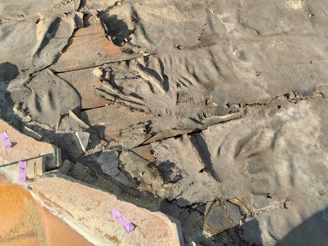 瓦を取り外した後のルーフィングが破れて野地板が露出している状況