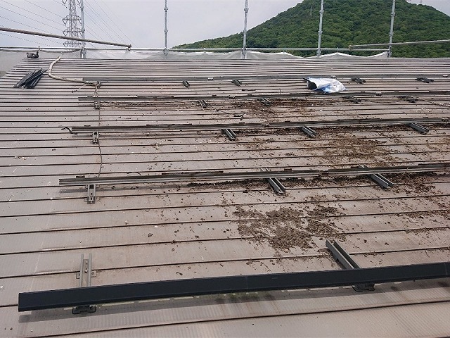 太陽光パネルを取り外したその下に残っていた鳥の巣の残骸や糞など