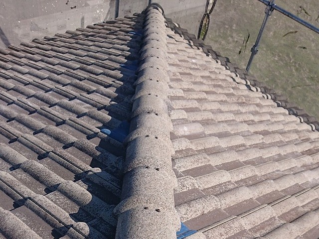 棟瓦取り直し工事の棟瓦再設置による復旧が完了