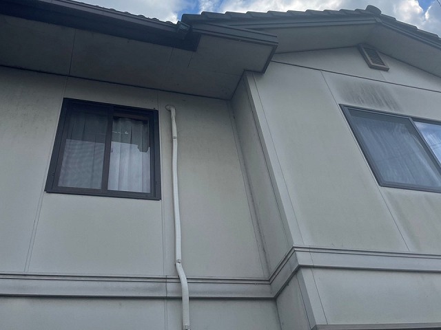 住宅無料点検でサイディング外壁の苔やカビの発生を確認