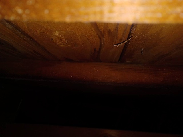 小屋裏の木材に雨漏りによるシミが広がっている様子