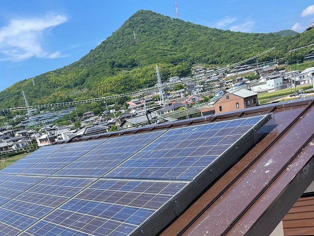 太陽光パネル再設置と防鳥ネットの取り付けにより鳥害対策が完成