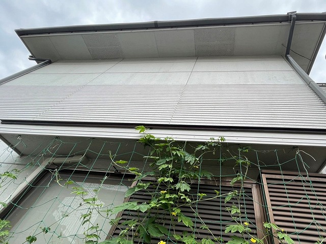 住宅の外壁無料点検でALC外壁や軒天にカビの発生を確認