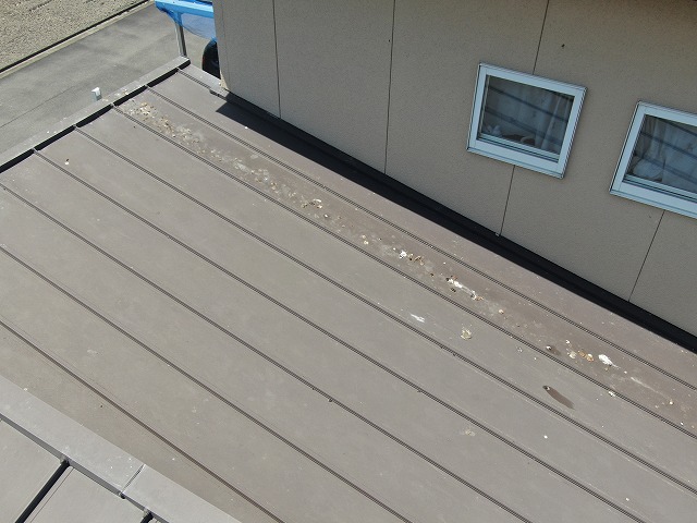 住宅屋根点検時の金属屋根の上に鳥の糞が落ちている様子