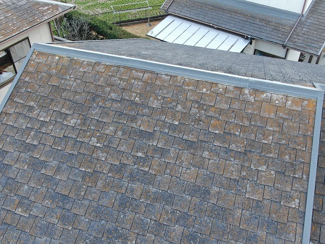 住宅の現場調査でノンアスベスト屋根の苔の繫殖を確認