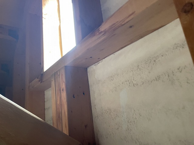 小屋裏から確認した妻換気周囲に雨水の影響によるカビが発生している状況