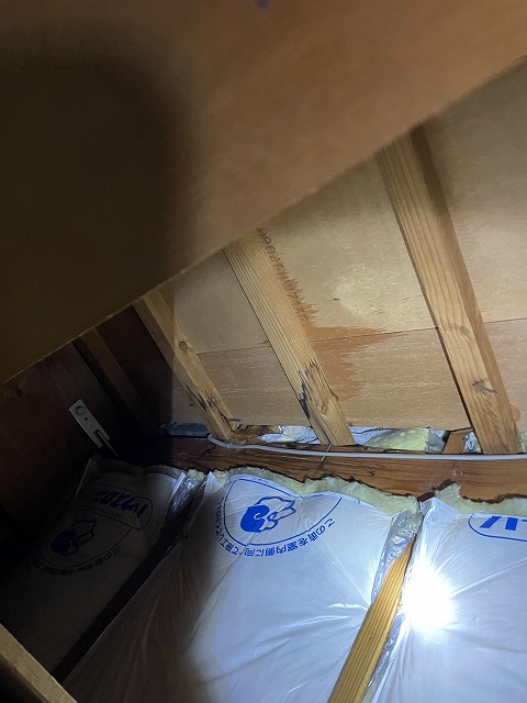 雨漏りの影響で小屋裏の天井や断熱材に広がっている雨染み