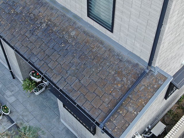 住宅の現場調査で下屋根部の苔の繫殖を確認