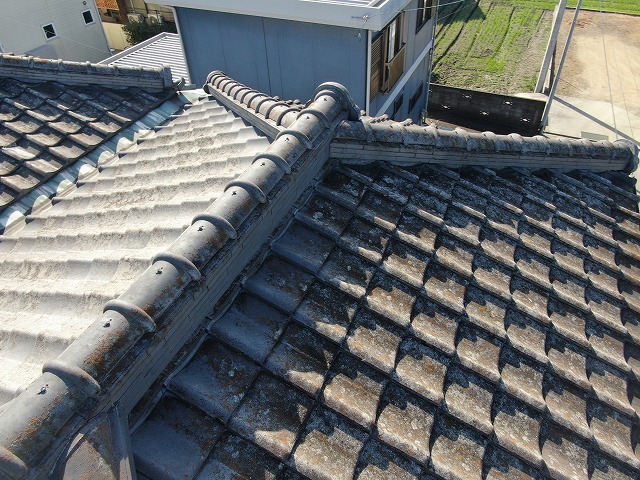 瓦屋根の苔を確認した現場調査