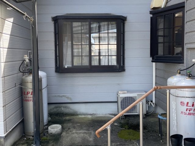 善通寺市のコンクリートに生えた苔