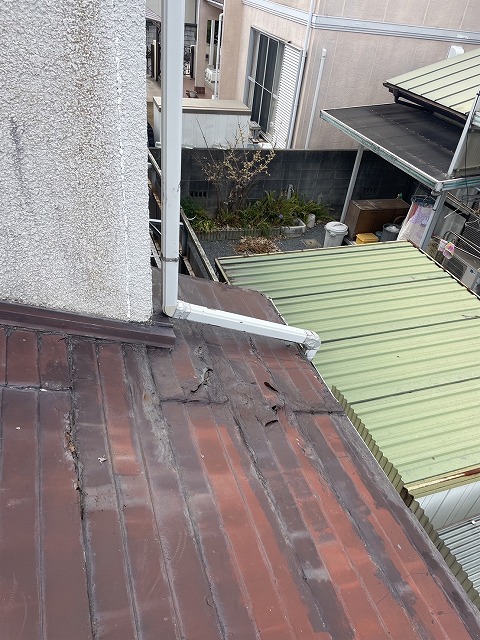 屋根がふかふかしている写真