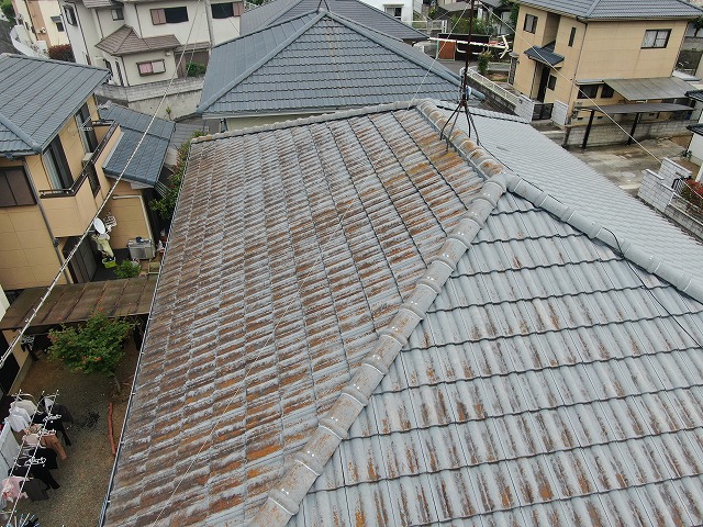 屋根のカビコケ