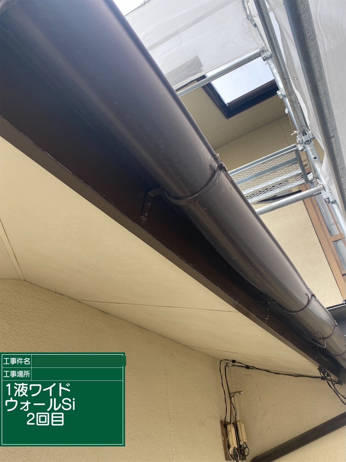 雨樋の塗装2回目