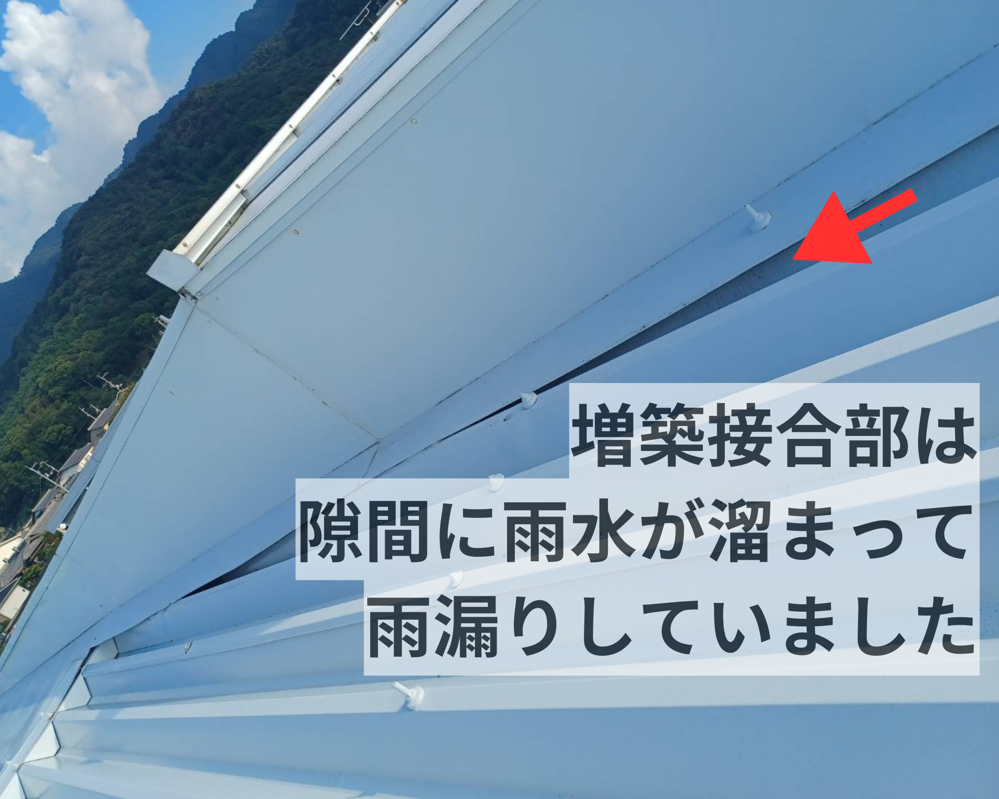 屋根材の隙間に雨水が溜まり侵入していました