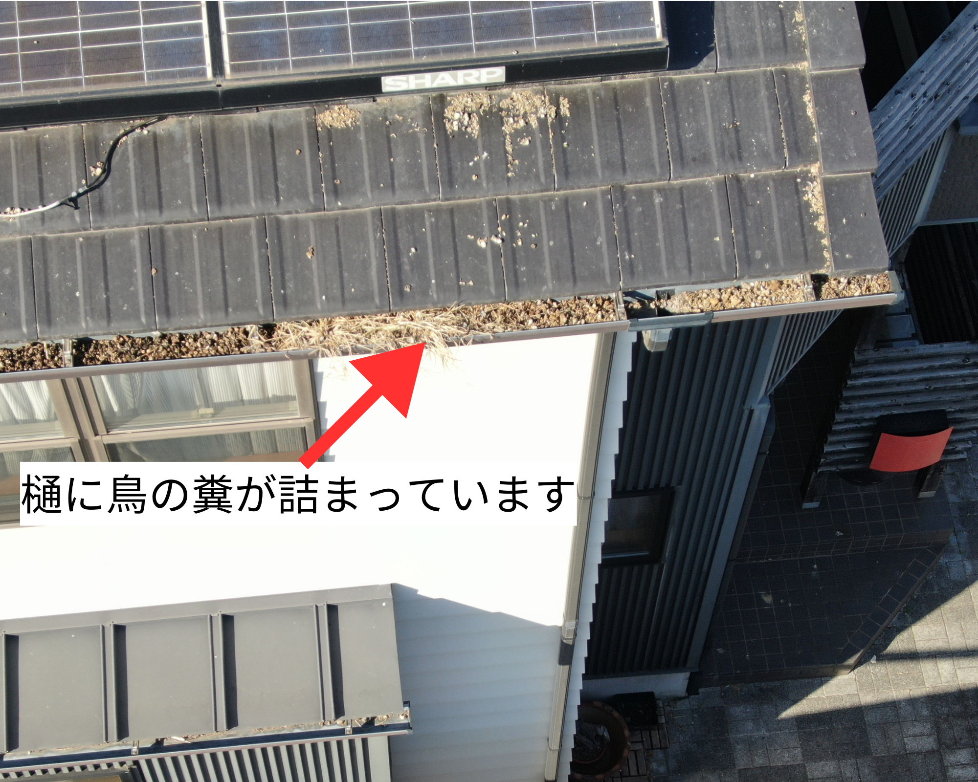 丸亀市で太陽光発電の鳥被害を防ぐステンレスメッシュを設置。パネル破損の危険性も