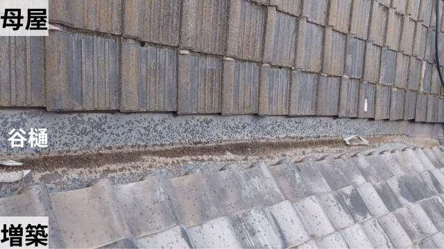 谷樋から雨漏り