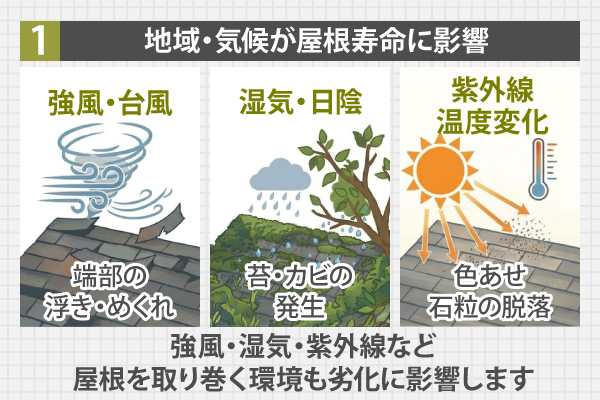 強風・湿気・紫外線など屋根を取り巻く環境も劣化に影響します
