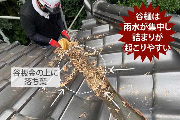 谷樋は雨水が集中し詰まりが起こりやすい